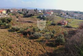 Barban, okolica, građevinsko zemljište na dobroj lokaciji, Barban, Terrain