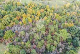 Poreč, okolica, građevinsko zemljište na samo 200 m udaljenosti od mora, prilika!, Poreč, Arazi