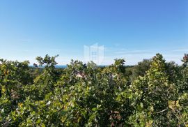 Poreč, građevinsko zemljište na top lokaciji!, Poreč, Terrain