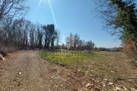 Tinjan, okolica, građevinsko zemljište na lijepoj lokaciji, Tinjan, Land