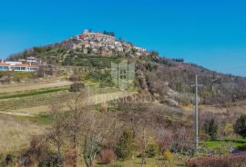 Kuća sa otvorenim pogledom na Motovun, Motovun, Famiglia