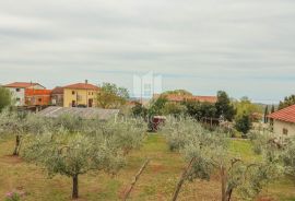 Poreč, okolica kuća sa velikom okućnicom i pogledom na more, Poreč, House