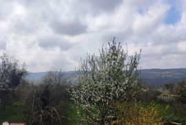 ISTRA,LABIN,KAMENA KUĆA I ŠTALA, EKSKLUZIVNO, Labin, بيت