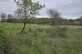 ISTRA, MARČANA - 5 zemljišta s projektima za kuće s bazenom, Marčana, Land