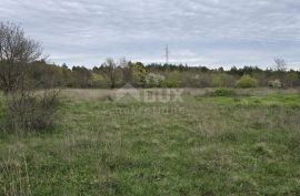 ISTRA, MARČANA - 5 zemljišta s projektima za kuće s bazenom, Marčana, Land