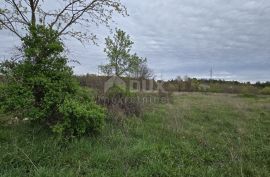 ISTRA, MARČANA - 5 zemljišta s projektima za kuće s bazenom, Marčana, Land