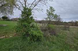 ISTRA, MARČANA - 5 zemljišta s projektima za kuće s bazenom, Marčana, Land