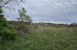 ISTRA, MARČANA - 5 zemljišta s projektima za kuće s bazenom, Marčana, Land