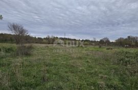 ISTRA, MARČANA - 5 zemljišta s projektima za kuće s bazenom, Marčana, Land