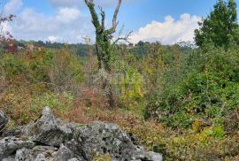 ISTRA, GRAČIŠĆE - Imanje 6880 m2 s kamenom kućom u mirnom naselju na uzvisini, Gračišće, Famiglia