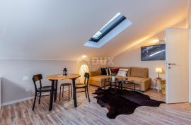 RIJEKA, CENTAR - Četiri uhodana apartmana u centru grada, Rijeka, Kвартира