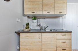 RIJEKA, CENTAR - Četiri uhodana apartmana u centru grada, Rijeka, Kвартира