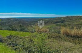 Buje, okolica. Zemljište sa panoramskim pogledom i građevinskom dozvolom!, Buje, Tierra