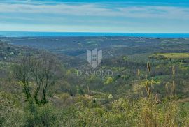 Buje, okolica. Zemljište sa panoramskim pogledom i građevinskom dozvolom!, Buje, Tierra