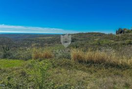 Buje, okolica. Zemljište sa panoramskim pogledom i građevinskom dozvolom!, Buje, Tierra