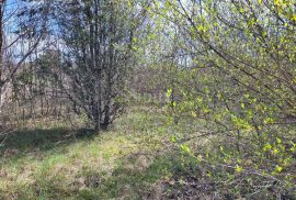 ISTRA, SVETVINČENAT - Poljoprivredno zemljište, Svetvinčenat, Terrain