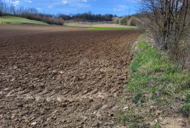 ISTRA, PAZIN - Poljoprivredno zemljište, Pazin - Okolica, Terreno