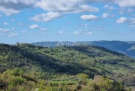 ISTRA, BUZET - Imanje s 4 stambena objekta i jednim poslovno-stambenim objektom, otvoreni pogled na prirodu i jezero, Buzet, House