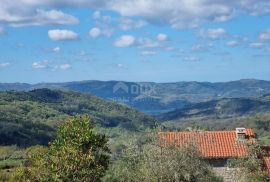 ISTRA, BUZET - Imanje s 4 stambena objekta i jednim poslovno-stambenim objektom, otvoreni pogled na prirodu i jezero, Buzet, House