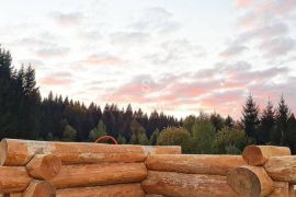 RAVNA GORA, predivna drvena kuća od ariša okružena šumom i potokom, Ravna Gora, Ev