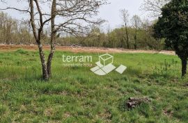 Istra, Barban, građevinsko zemljište 693m2  #prodaja, Barban, Земля