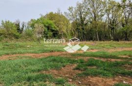 Istra, Barban, građevinsko zemljište 693m2  #prodaja, Barban, Земля