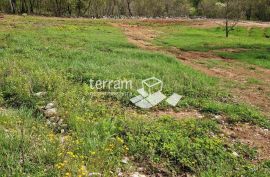 Istra, Barban, građevinsko zemljište 772m2  #prodaja, Barban, Terrain