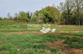 Istra, Barban, građevinsko zemljište 772m2  #prodaja, Barban, Land