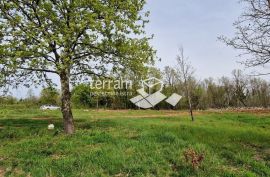 Istra, Barban, građevinsko zemljište 772m2  #prodaja, Barban, Land