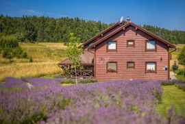 GORSKI KOTAR - Kuća sa 6 opremljenih soba za iznajmljivanje, Mrkopalj, House