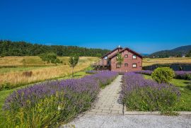 GORSKI KOTAR - Kuća sa 6 opremljenih soba za iznajmljivanje, Mrkopalj, House