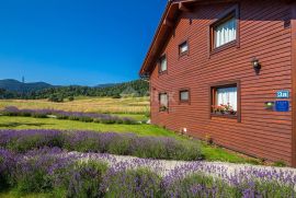 GORSKI KOTAR - Kuća sa 6 opremljenih soba za iznajmljivanje, Mrkopalj, House