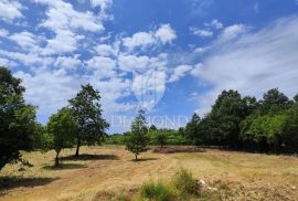 Zemljište za izgradnju kuće za odmor u okolici Barbana, Barban, Land