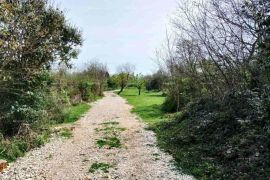 Poljoprivredno zemljište Odlično poljoprivredno zemljište u Rovinju, Rovinj, Terrain