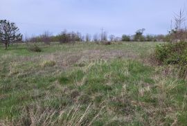 ISTRA, LUPOGLAV - Prostrano građevinsko zemljište, Lupoglav, Terra