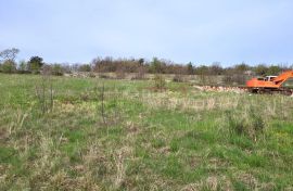 ISTRA, LUPOGLAV - Prostrano građevinsko zemljište, Lupoglav, Terra