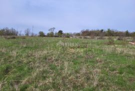 ISTRA, LUPOGLAV - Prostrano građevinsko zemljište, Lupoglav, Terra