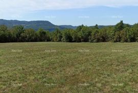 Građevinsko zemljište Prodaja građevinskog zemljišta, površine od 1374 m2, Buzet!, Buzet, Terra