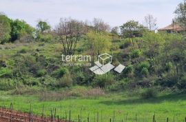 Istra, Loborika, građevinsko zemljište 2711m2 NOVO #prodaja, Marčana, Land