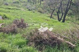 Istra, Loborika, građevinsko zemljište 2711m2 NOVO #prodaja, Marčana, Land