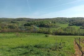 Prodaja Daruvar, kuća sa imanjem 17.000 m2, Daruvar, Ev