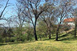 Prodaja Daruvar, kuća sa imanjem 17.000 m2, Daruvar, Ev