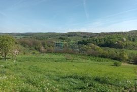 Prodaja Daruvar, kuća sa imanjem 17.000 m2, Daruvar, Ev