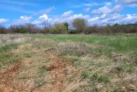 ISTRA, SVETVINČENAT - Građevinsko zemljište, Svetvinčenat, Tierra