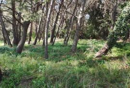 ISTRA,PULA! Jedinstveno građevinsko zemljište, Pula, Land