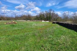 ISTRA, SVETVINČENAT - Prostrano poljoprivredno zemljište na rubu urbanizacije, Svetvinčenat, Zemljište