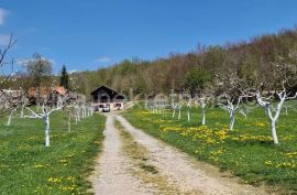 BUŽIM ( Gospić ) - obiteljska kuća, dvorišna zgrada, garaža, okućnica, Gospić - Okolica, House