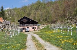 BUŽIM ( Gospić ) - obiteljska kuća, dvorišna zgrada, garaža, okućnica, Gospić - Okolica, House