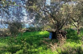 ISTRA, MEDULIN Građevinsko zemljište prvi red do mora za villu!, Medulin, Land