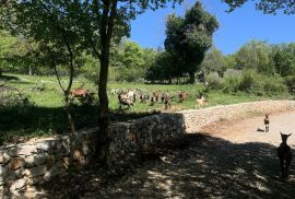 OPATIJA, MOŠĆENIČKA DRAGA, MOŠĆENICE - jedinstvena mogućnost gradnje vile s bazenom na ekskluzivnoj lokaciji, Mošćenička Draga, Tierra